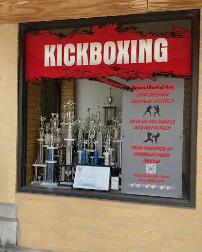 Ninoos Martial Arts Studio BJJ Academy - photo 2