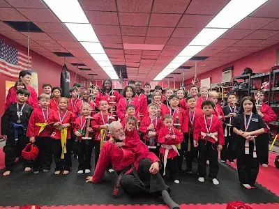 Ninoos Martial Arts Studio BJJ Academy - photo 4