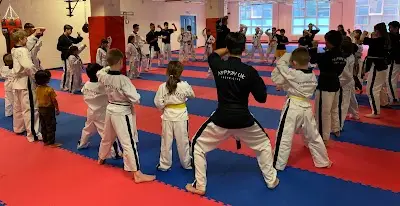 Nippon UK Martial Arts