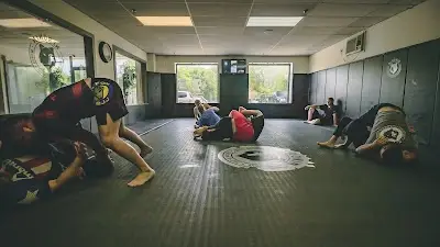 NJ Ronin Jiu Jitsu and Striking Academy BJJ Academy - photo 2
