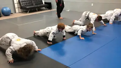 no illusions martial arts BJJ Academy - photo 3