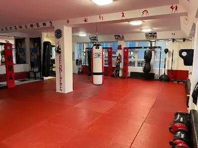 No Limit - Fitness & Fight Shop GmbH -BOXGYM- BJJ Academy - photo 4