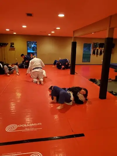 No Limit Killer Bees BJJ Academy - photo 3