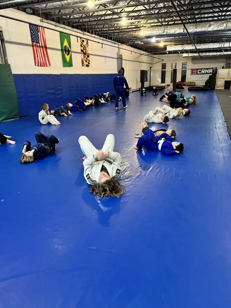 Nomad Brazilian Jiu-Jitsu & MMA BJJ Academy - photo 1