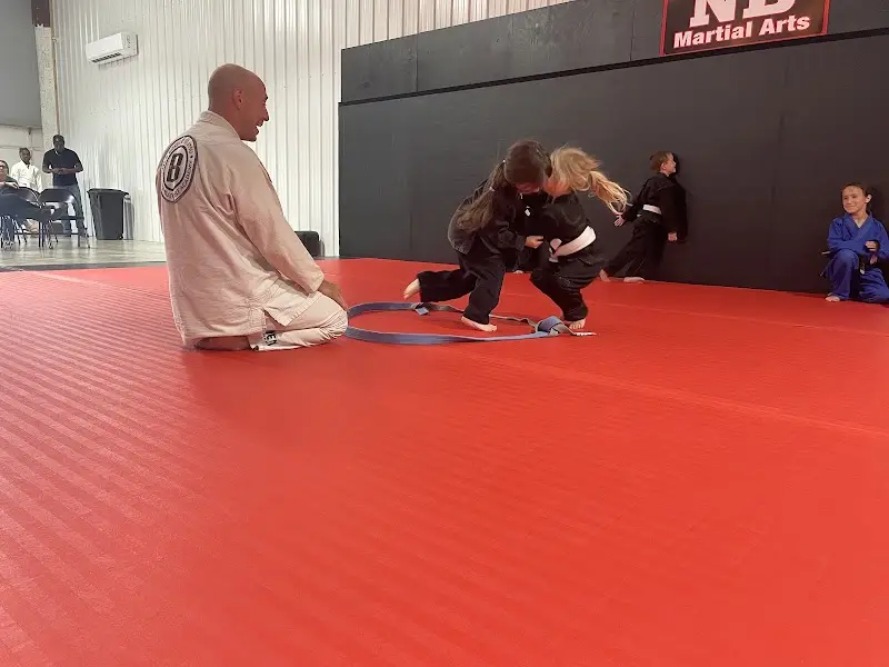 North Desoto Jiu Jitsu BJJ Academy - photo 1