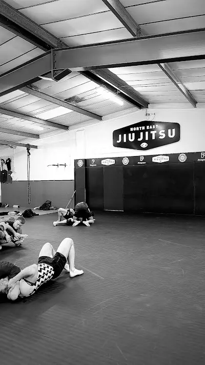 North East Jiu Jitsu BJJ Academy - photo 2