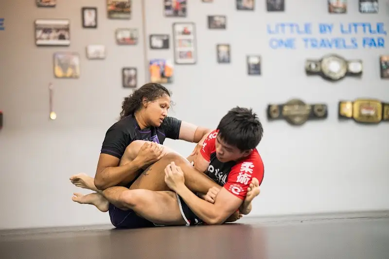 North River Jiu Jitsu BJJ Academy - photo 2