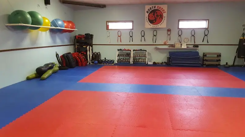 North Shore Martial Arts Center BJJ Academy - photo 1
