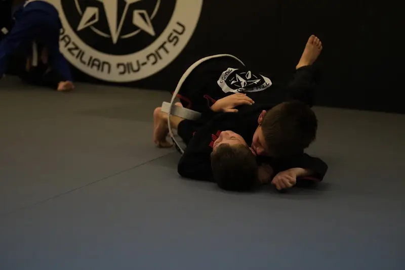 North Star Brazilian Jiu-Jitsu BJJ Academy - photo 2