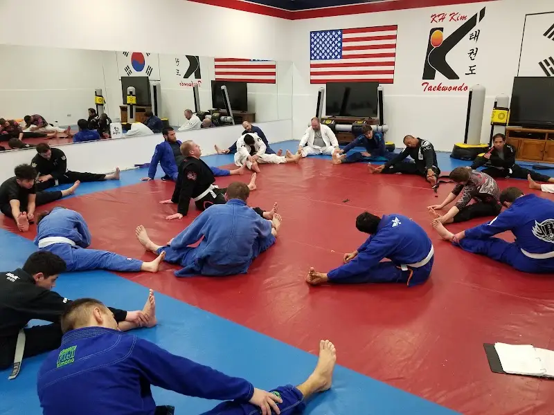 Northbrook Jiu Jitsu/Gracie Allegiance/R-Team jiu jitsu/Redzovic Jiu Jitsu BJJ Academy - photo 1