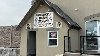 Northern Black Dragon Martial Arts BJJ Academy - photo 3