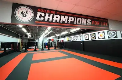 Northshore Academy of Martial Arts Libertyville Brazilian Jiu Jitsu, Kickboxing, Krav Maga BJJ Academy - photo 2