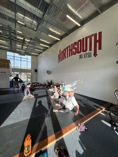 NORTHSOUTH JIU JITSU NZ