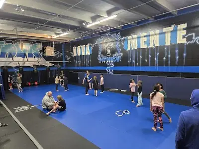 Nova Mente Jiu Jitsu Academy BJJ Academy - photo 1