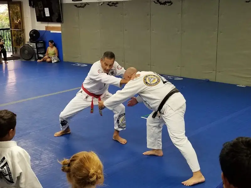 O2 Martial Arts Academy BJJ Academy - photo 2
