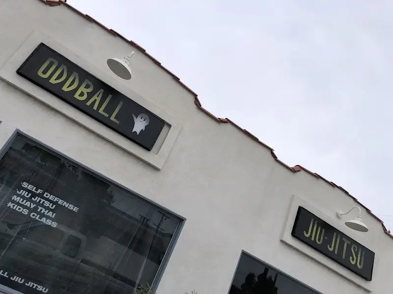 Oddball Jiu Jitsu BJJ Academy - photo 2