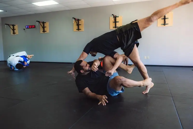Odyssey Martial Arts Spring BJJ Academy - photo 1