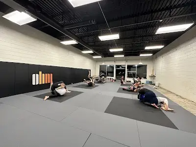 Ohm Jiu Jitsu BJJ Academy - photo 1