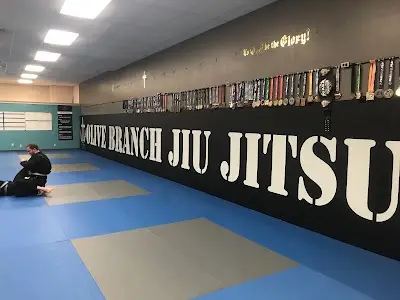 Olive Branch Jiu Jitsu BJJ Academy - photo 4