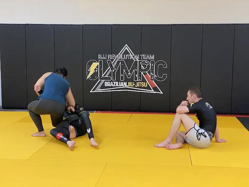 Olympic Brazilian Jiu Jitsu BJJ Academy - photo 1