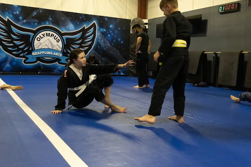 Olympus Grappling Arts BJJ Academy - photo 1