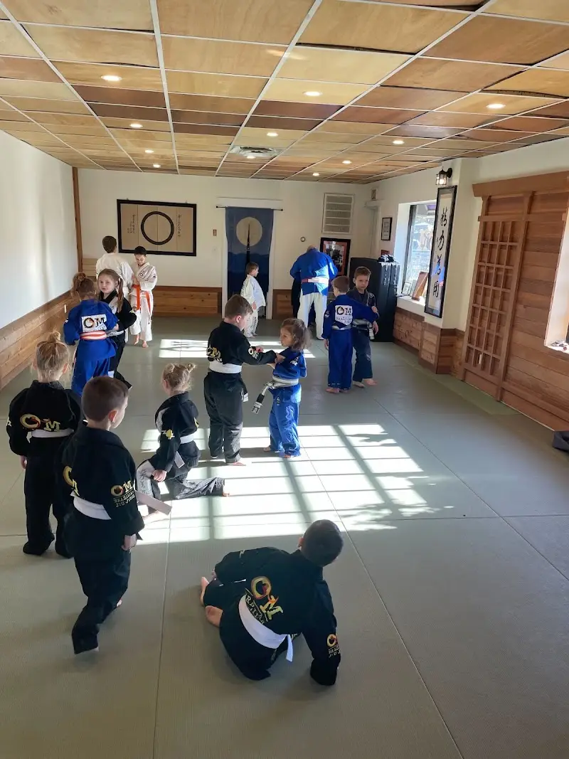 OM Brazilian Jiu JItsu BJJ Academy - photo 1