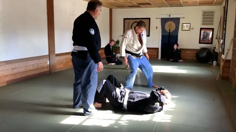 OM Brazilian Jiu JItsu BJJ Academy - photo 2