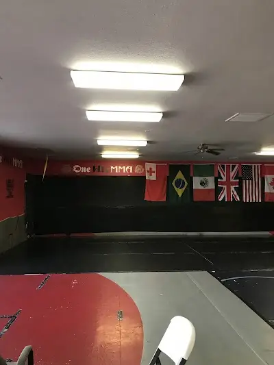 One Hit MMA BJJ Academy - photo 2