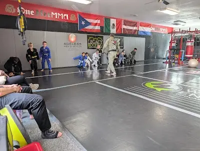 One Hit MMA BJJ Academy - photo 3