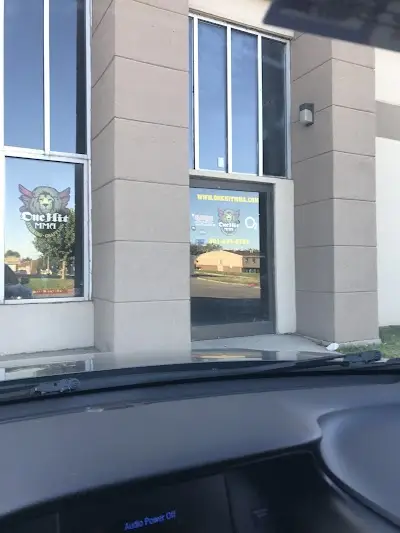 One Hit MMA BJJ Academy - photo 4