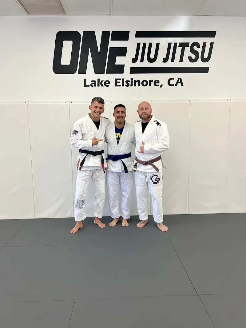 One Jiu Jitsu BJJ Academy - photo 1