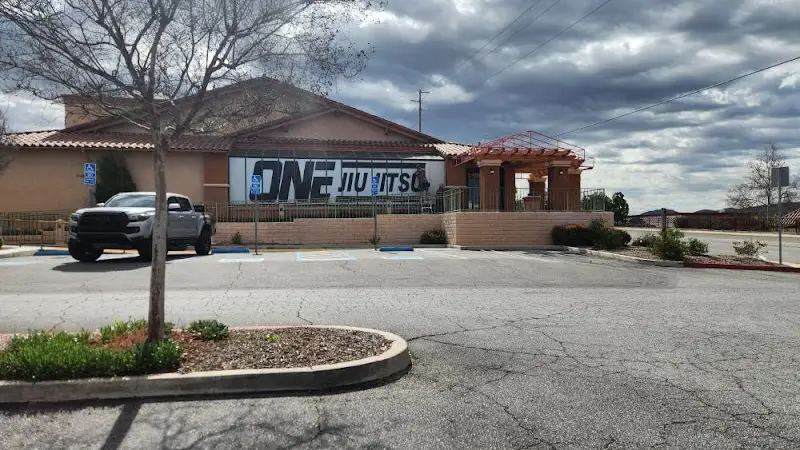 One Jiu Jitsu BJJ Academy - photo 2