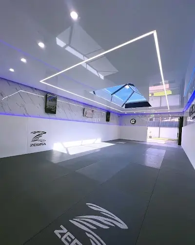 One Jiu-Jitsu Martial Arts Brighton BJJ Academy - photo 1