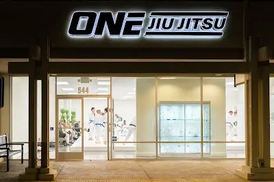 One Jiu Jitsu BJJ Academy - photo 0