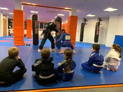 One Martial Arts - One Jiu Jitsu Guildford BJJ Academy - photo 2