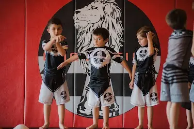 One Nation Jiu Jitsu BJJ Academy - photo 4