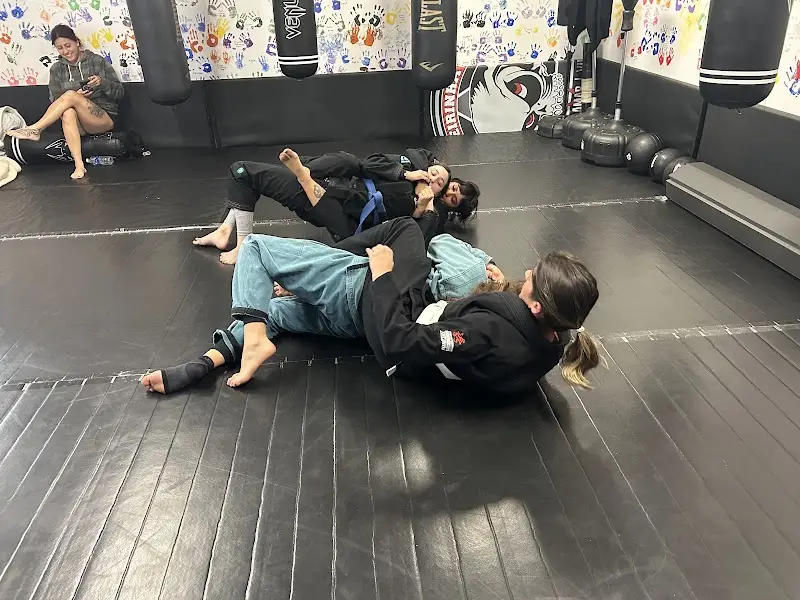 One Revolution Jiu Jitsu Yucaipa BJJ Academy - photo 1