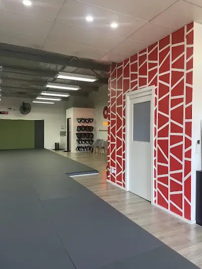 ONYX Brazilian Jiu Jitsu BJJ Academy - photo 2