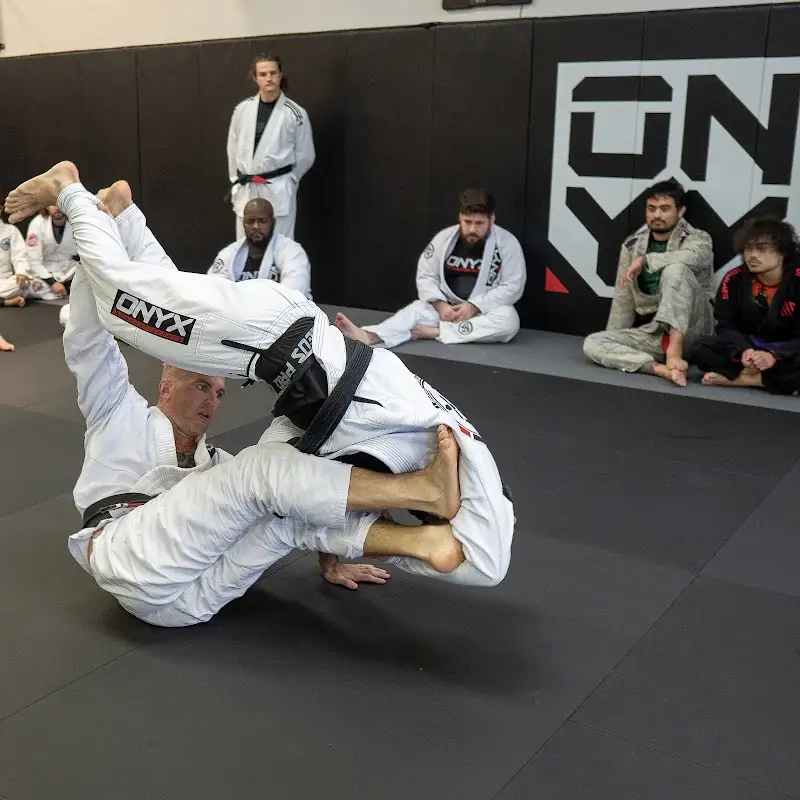 Onyx Combat Sports BJJ Academy - photo 2