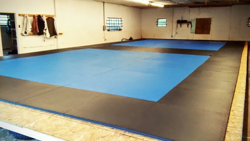 Open Source Jiu-Jitsu BJJ Academy - photo 1