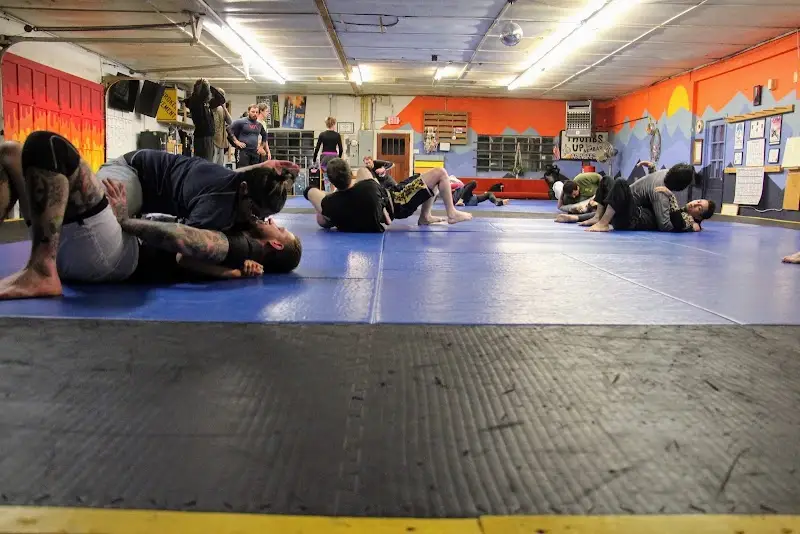 Open Source Jiu-Jitsu BJJ Academy - photo 2
