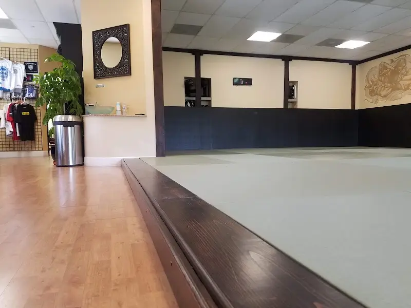 Optimus Brazilian Jiu-Jitsu BJJ Academy - photo 2