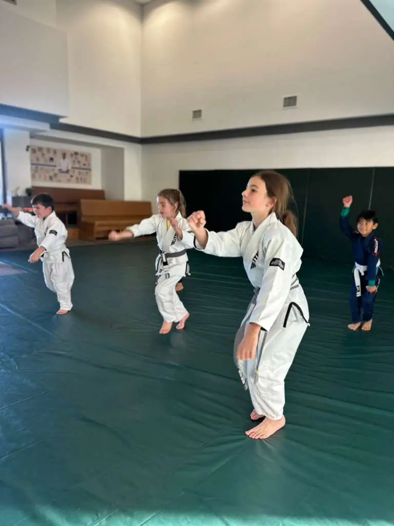 Orange County Brazilian Jiu Jitsu BJJ Academy - photo 2