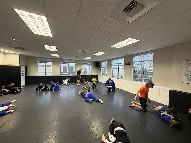 Oregon Jiu Jitsu Lab BJJ Academy - photo 2