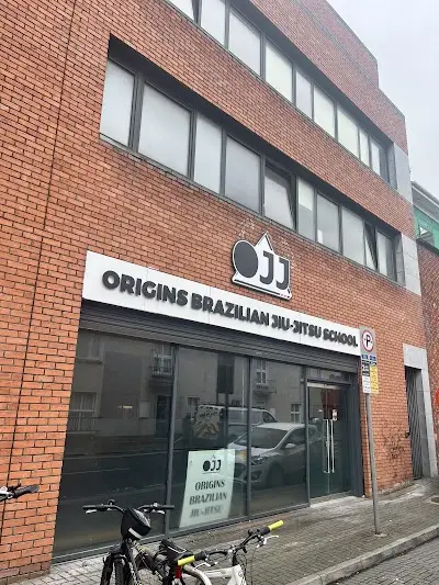 Origins Brazilian Jiu Jitsu School BJJ Academy - photo 1