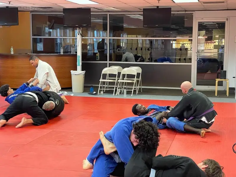 Orion Brazilian Jiu Jitsu BJJ Academy - photo 1