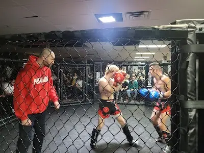 Orleans Martial Arts Kung-Fu Patenaude BJJ Academy - photo 2