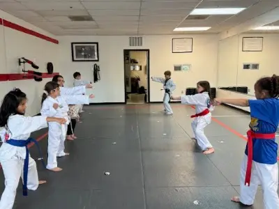 OSA Martial Arts-Fairfax City