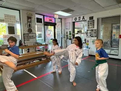 OSA Martial Arts-Fairfax City BJJ Academy - photo 1