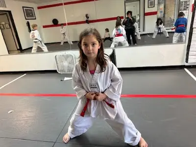 OSA Martial Arts-Fairfax City BJJ Academy - photo 4